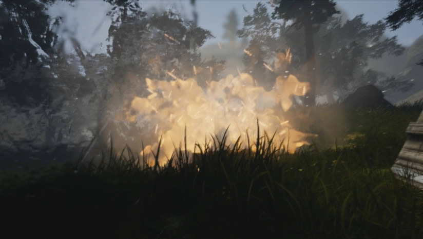 The Mirum����