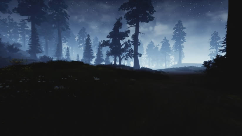 The Mirum����