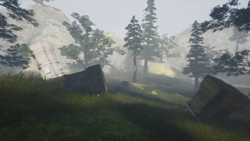 The Mirum����