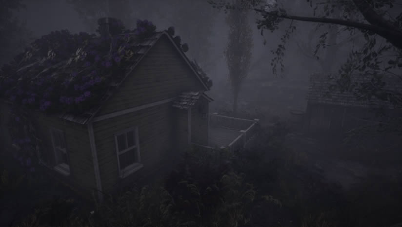 �����ɵĿ�������