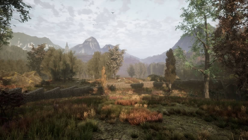 �����ɵĿ�������