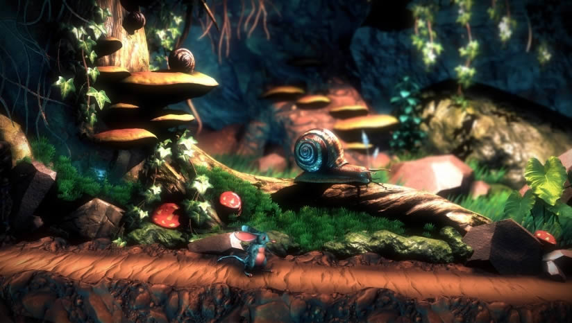 Macrotis�����������ð������