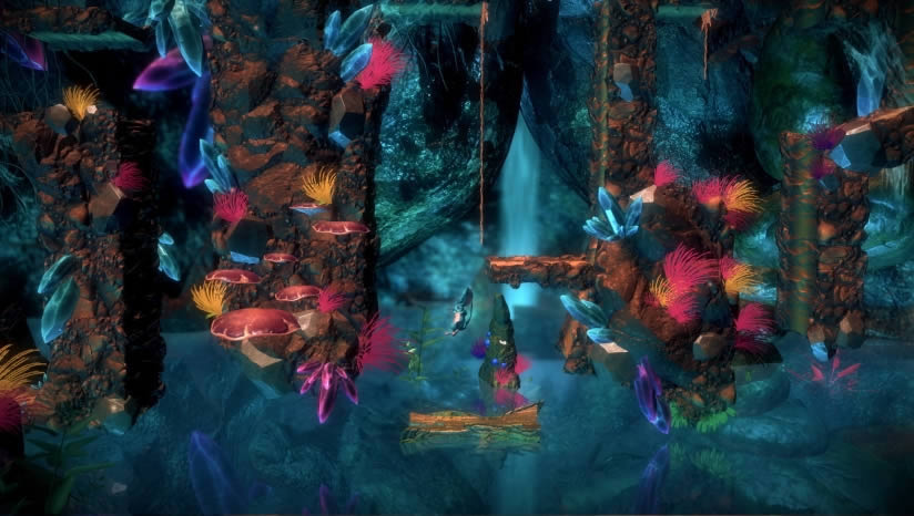 Macrotis�����������ð������