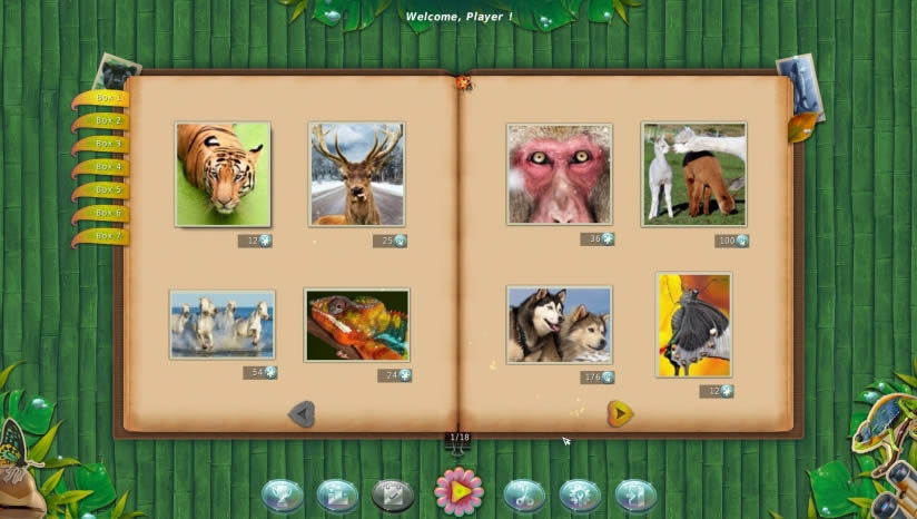 1001ƴͼ���������ʷ5