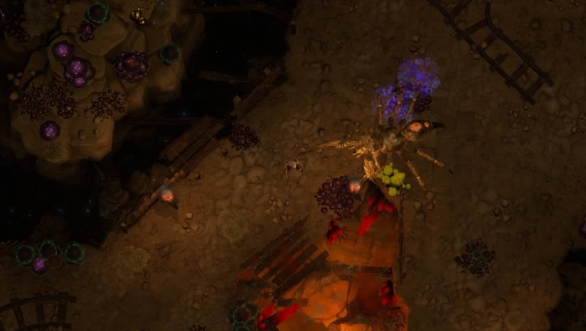 ����ʱ������