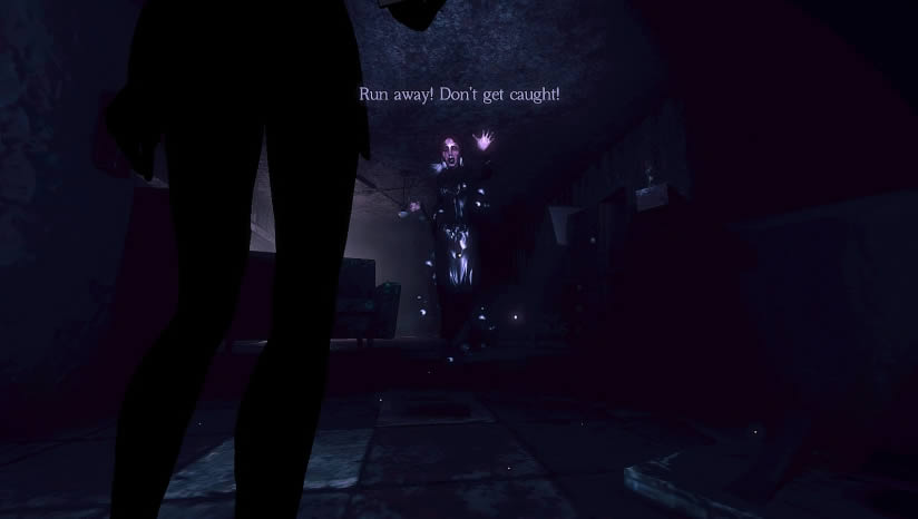 �ھŵ�������