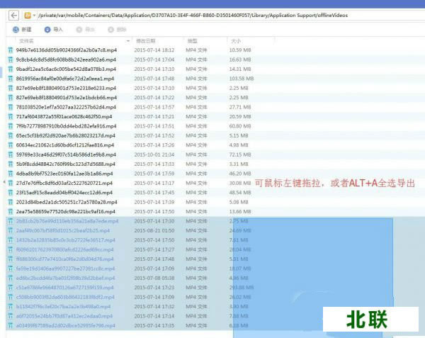 uc��������ص���Ƶ�����ﵼ����