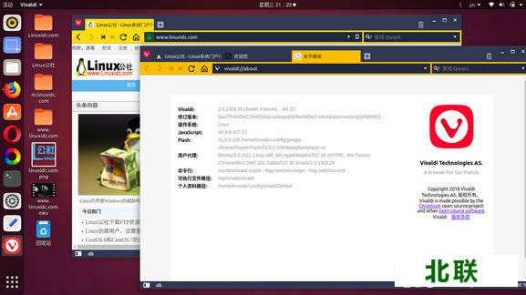 vivaldi�������������������ʽ�汾2.0