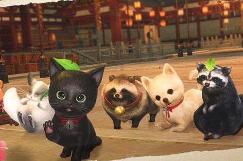 ����3һ�׸�����ô���_����3һ�׸����÷���