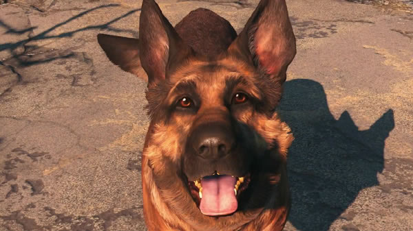 ����4���޸���