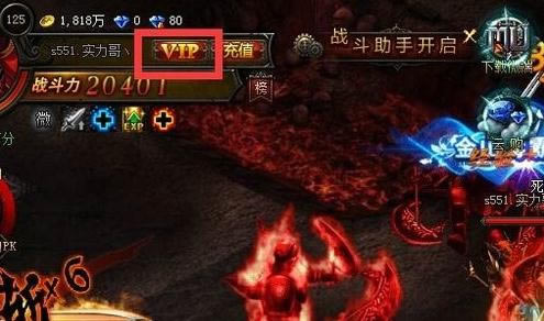 ����VIP�����������