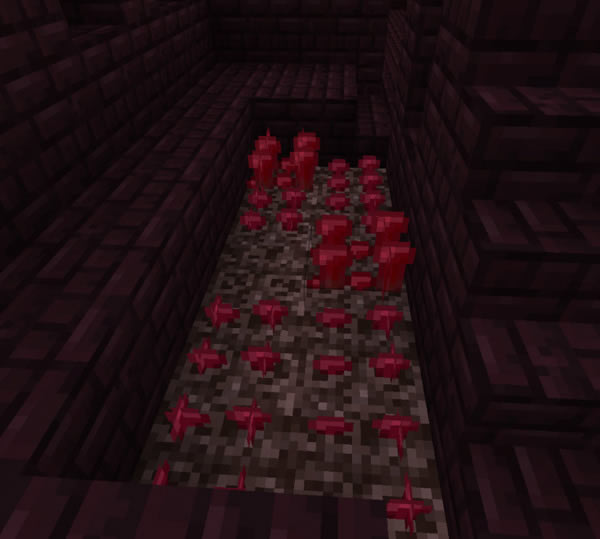 �ҵ����������