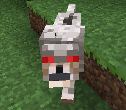 �Ͻ�װ��5��ʹcqc����