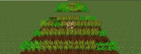 ������ֲС��