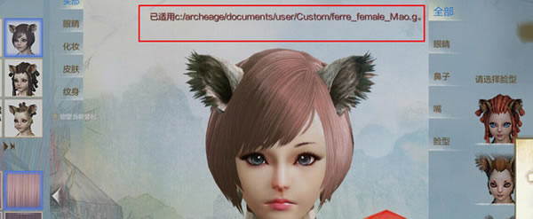 �Ϲ����������������óɹ�