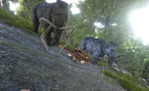 �������������ô����1