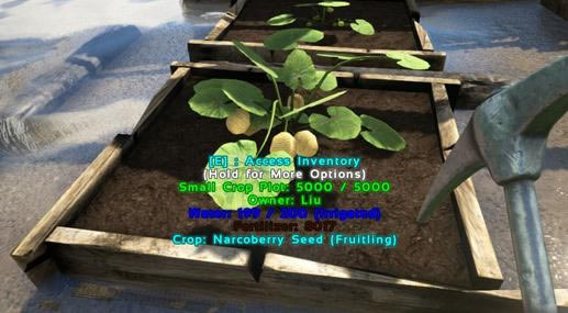 �����������ֲ��