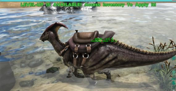 �������������ôѱ������2