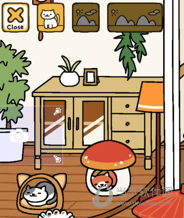 ���Ǵ�����