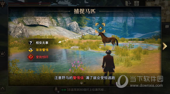 ��Ҫ������