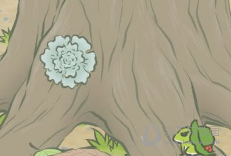 ����������Ϸ����