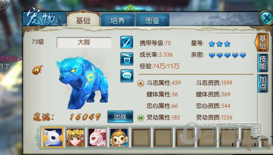 �������γ���