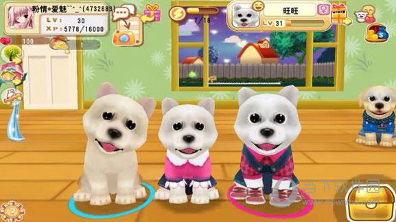 ����С��ͶƱ�����Ƕ���