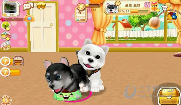 ����С���������ֻ��