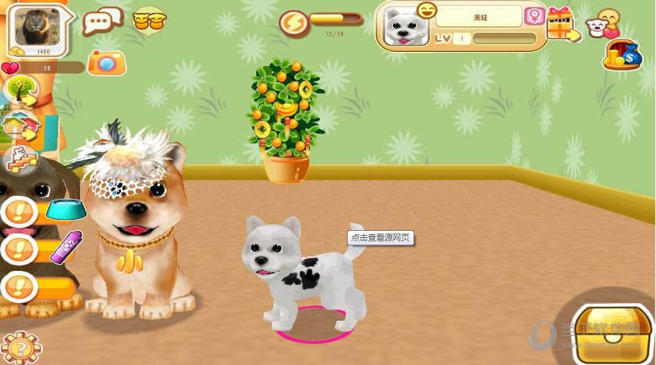 ����С����������ô��