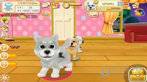 ����С����ô���ٰݷ��ھ�