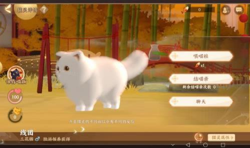 �����绪¼�ɰ�è����������_�����绪¼�ɰ�è������������ʲô