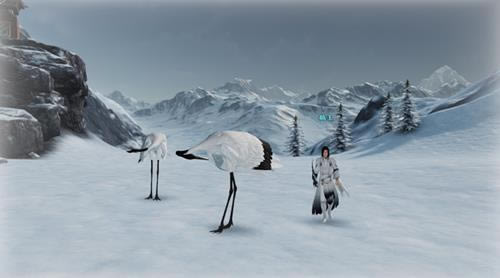 �������µ����������Ķ��ػ�ͤ����ô����_�������µ����������Ķ��ػ�ͤ�¼�������