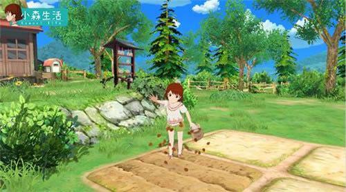 Сɭ��������Ϊʲô�����ῳ��_Сɭ�������ο�������������