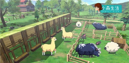 Сɭ��������Ұ������������_Сɭ��������Ұ������ν���