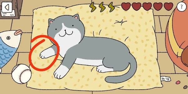 ��լ������è����ϸ����_��լ�������������è