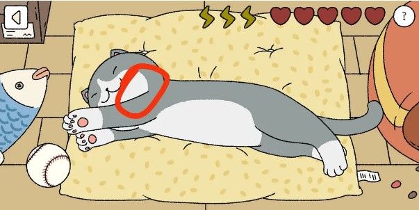 萌宅物语摸猫超详细攻略_萌宅物语手游如何摸猫