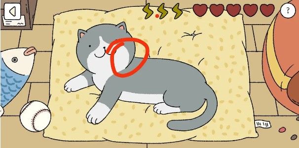 ��լ������è����ϸ����_��լ�������������è