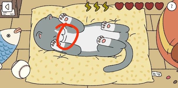 ��լ������è����ϸ����_��լ�������������è