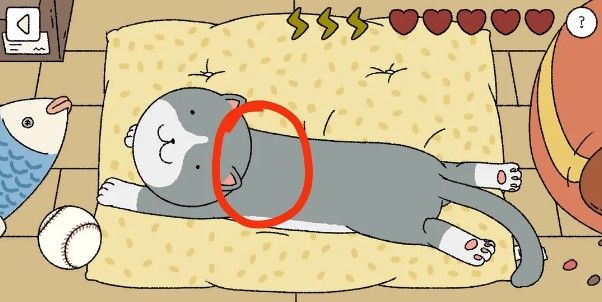 ��լ������è����ϸ����_��լ�������������è