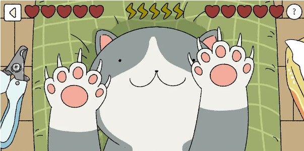 ��լ������è����ϸ����_��լ�������������è