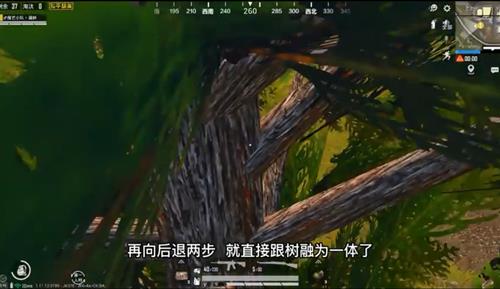 与平精英石心城如何跳到树上_与平精英石心城上树阴人技巧