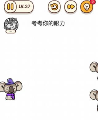 ���Դ�ʦ���ε�37����ô��_���Դ�ʦ���ε�37��ͨ�ع���