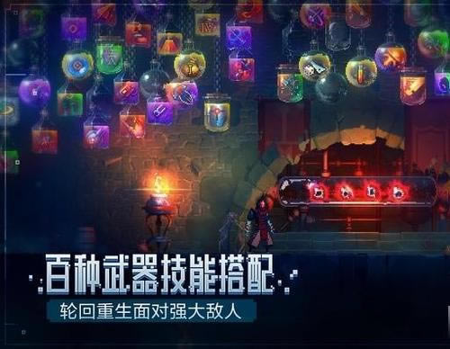 ����ϸ��������ʲô��_����ϸ�����ξ����������