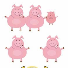 ���Դ�ʦ���ε�9����ô��_���Դ�ʦ���ε�9��ͨ�ع���