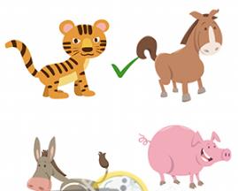 ���Դ�ʦ���ε�6����ô��_���Դ�ʦ���ε�6��ͨ�ع���