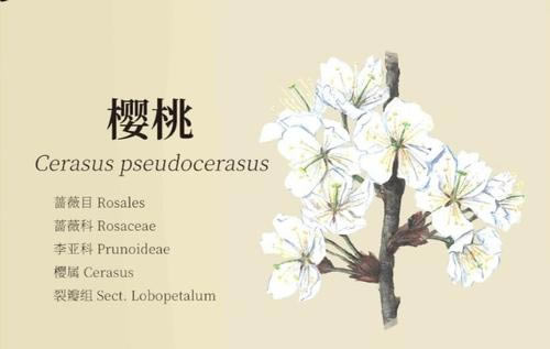 ��ũ�����ૹ���ô���_��ũ���������ૹ���ȡ;������