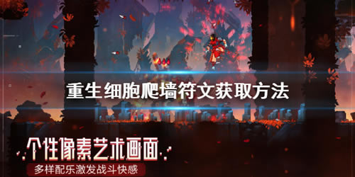 ����ϸ�������ǽ_����ϸ����ǽ��������