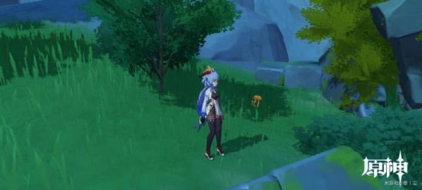 ԭ����л�ɫ�Ĳɼ���������_ԭ����л�ɫ�Ĳɼ���λ��һ��