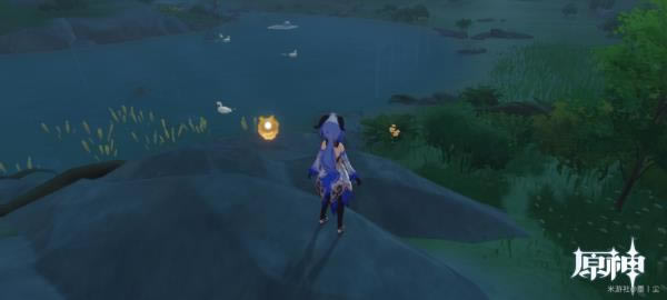 ԭ����л�ɫ�Ĳɼ���������_ԭ����л�ɫ�Ĳɼ���λ��һ��