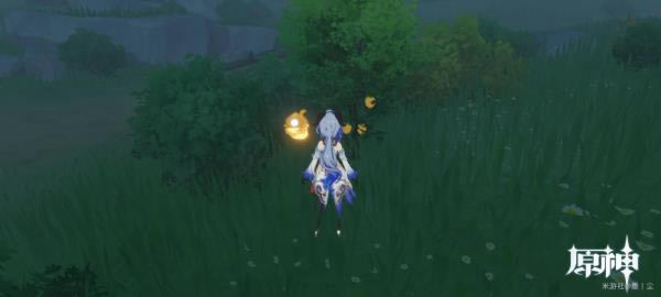 ԭ����л�ɫ�Ĳɼ���������_ԭ����л�ɫ�Ĳɼ���λ��һ��